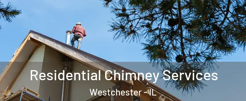 Residential Chimney Services Westchester - IL