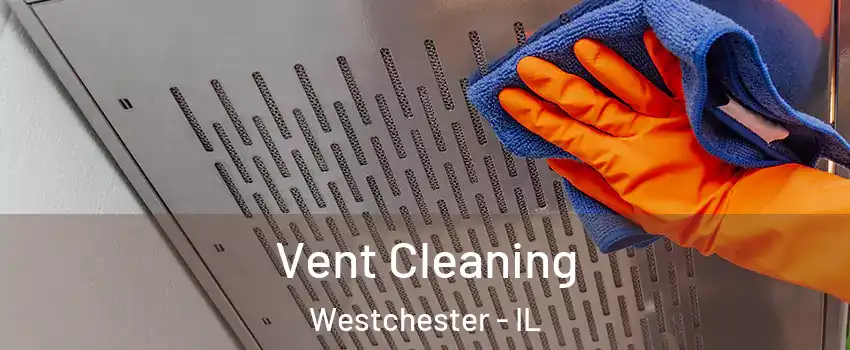 Vent Cleaning Westchester - IL
