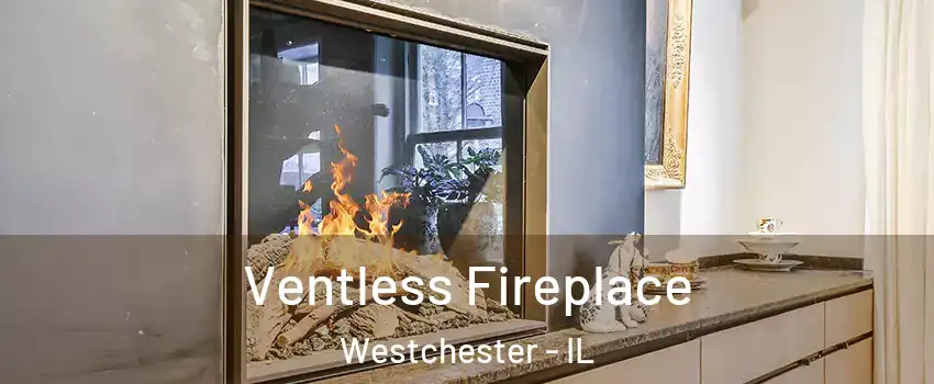 Ventless Fireplace Westchester - IL