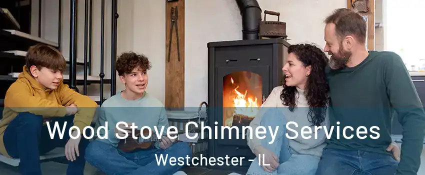 Wood Stove Chimney Services Westchester - IL